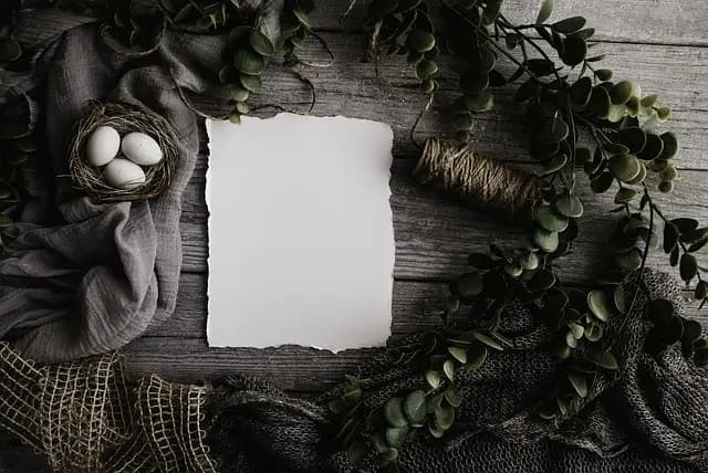 Les Plats Régionaux à Déguster : Un Voyage à Travers la France