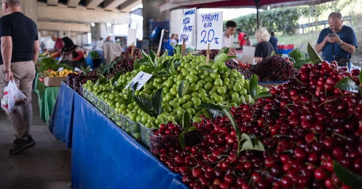 Les Tendances Culinaires Régionales à Suivre en 2026