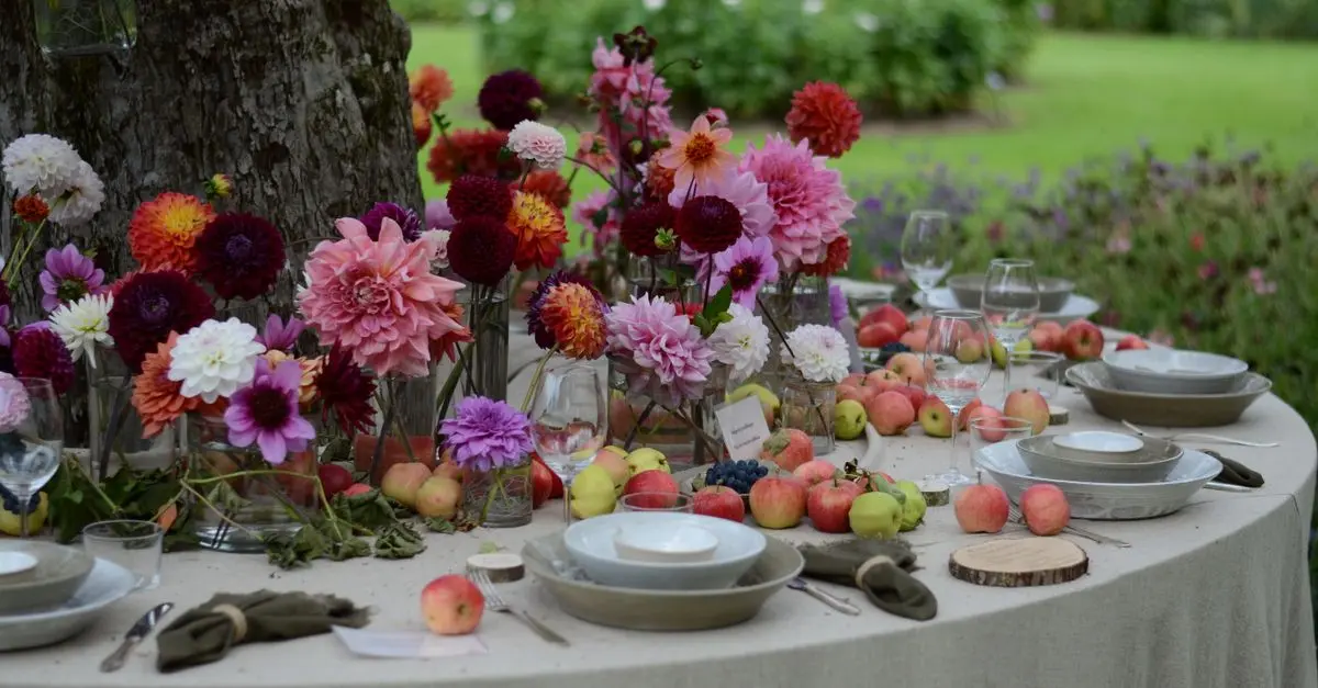 Les Plats de Fête de la Cuisine Régionale : Un Voyage Culinaire